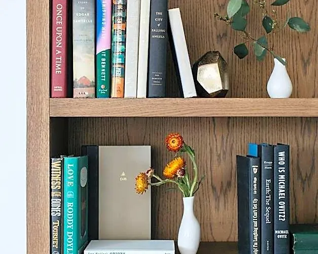 The Study At The Of 4* Chicago